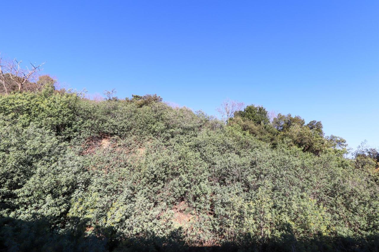 Locations Appartements Standing Amelie-Les-Bains Εξωτερικό φωτογραφία